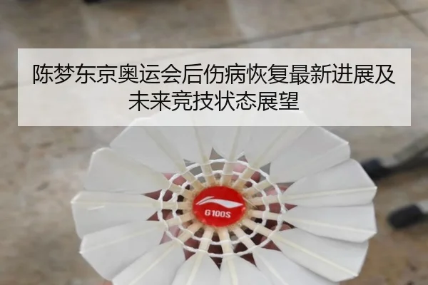 陈梦东京奥运会后伤病恢复最新进展及未来竞技状态展望